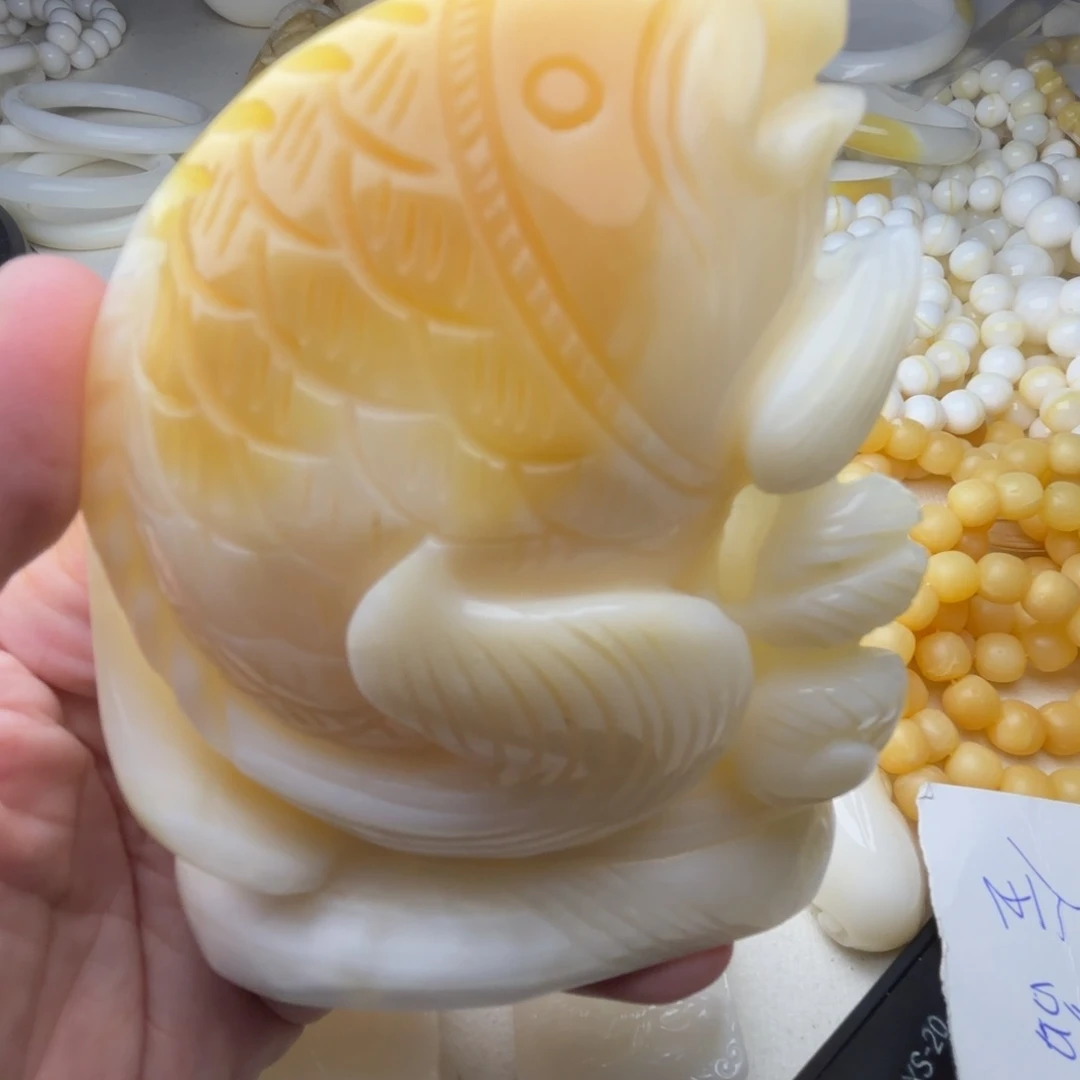 非金属贝壳静*?天然贝壳