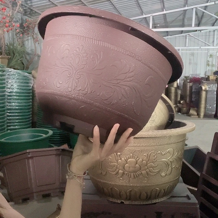 盆景86658888888888