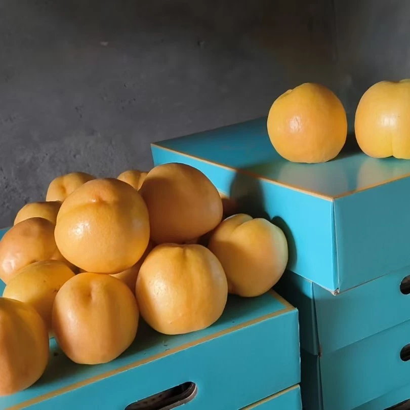 平谷黄油桃澳油 3斤当季新鲜水果桃子北京市