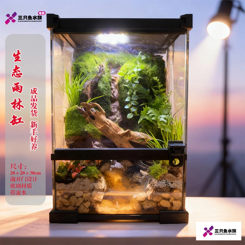 【直播】微景观雨林缸水陆生态缸桌面植物造景养寄居蟹蟹蛙成品发货