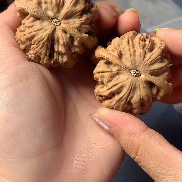 鑫***哥吊坠文玩核桃粗筋
