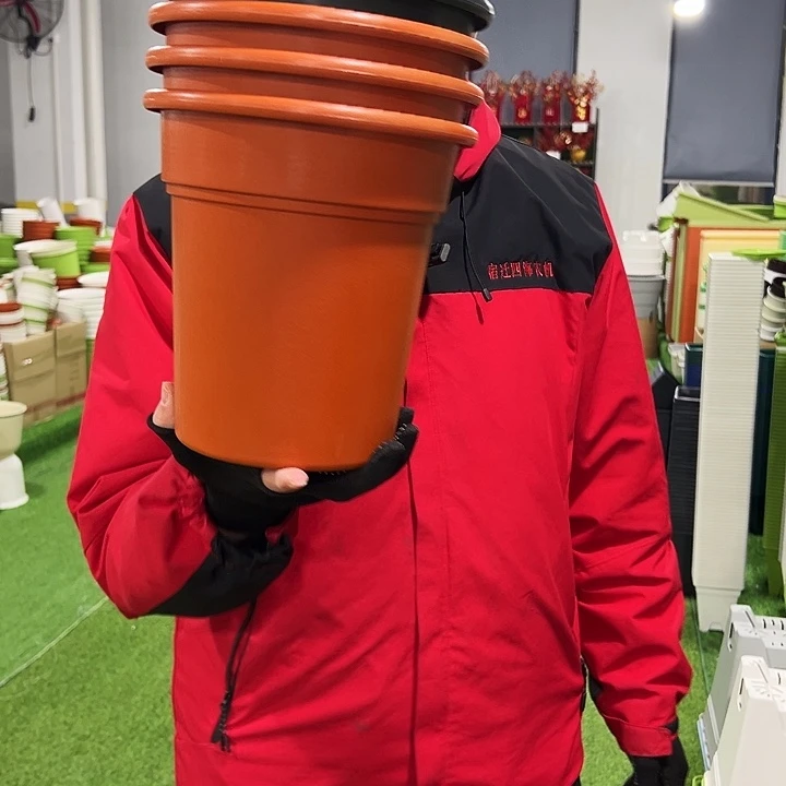 清仓翻边口21高22混色6只无托