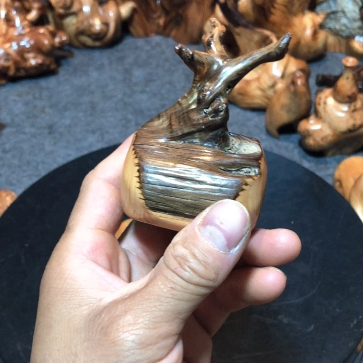 简***.柏木（崖柏）崖柏42