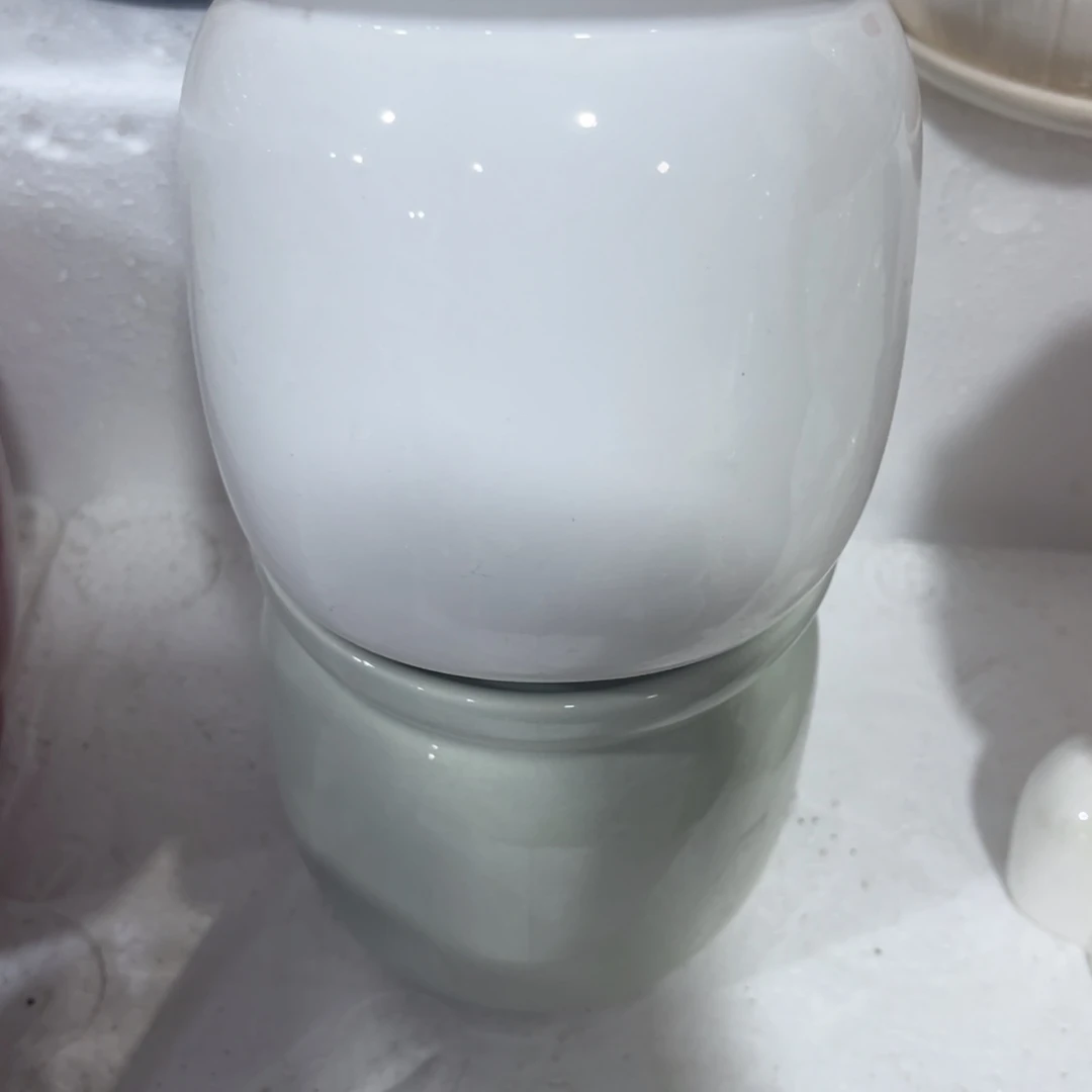 多肉植物花盆植物