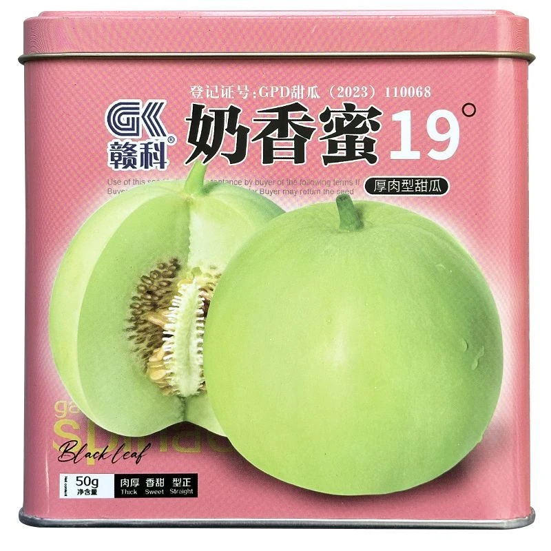 奶香蜜19°甜瓜种子薄皮浓香甜蜜早熟高产杂交春季播大果醉甜香宝
