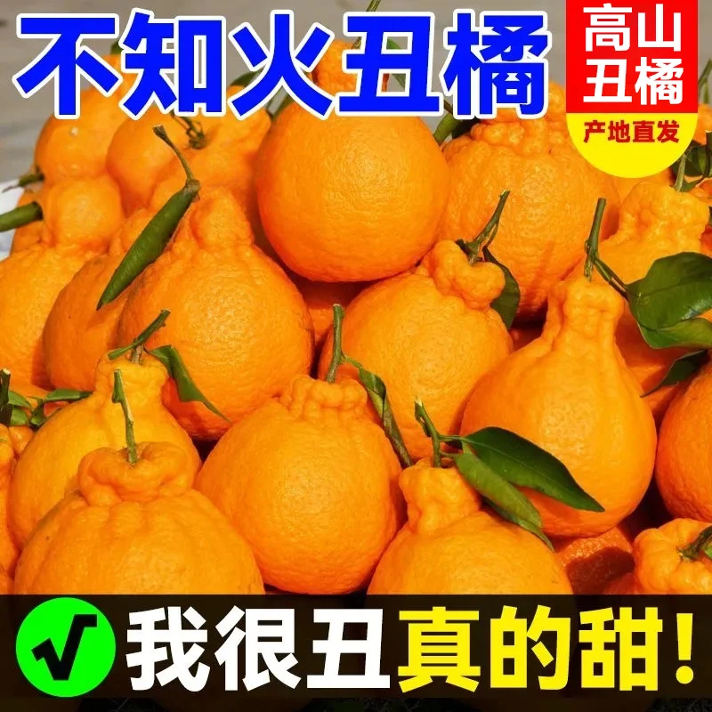 高山丑橘丑八怪当季新鲜水果橘子湖北高山丑橘整箱桔子包邮