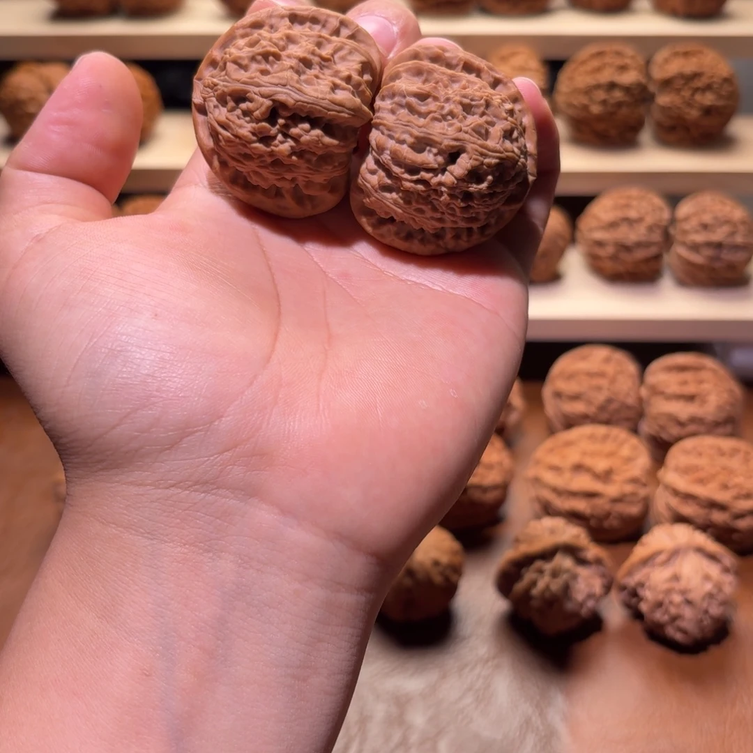 叁柒文玩44白狮子有修饰