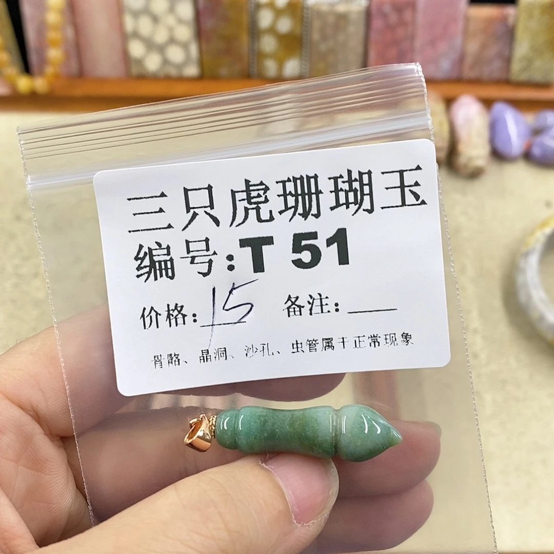 硅化珊瑚（珊瑚玉）1未镶嵌我****?