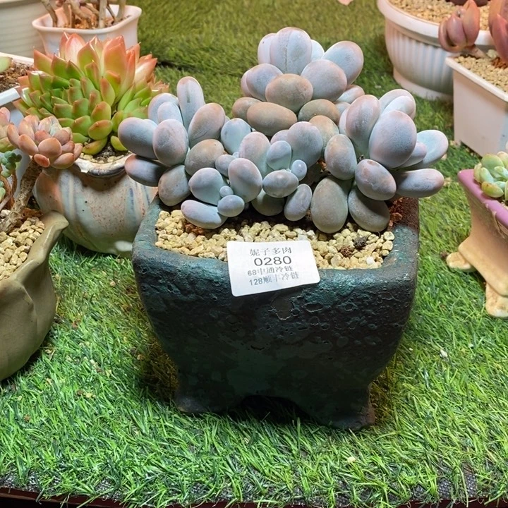 0280啊啊啊啊啊啊啊啊啊啊啊啊