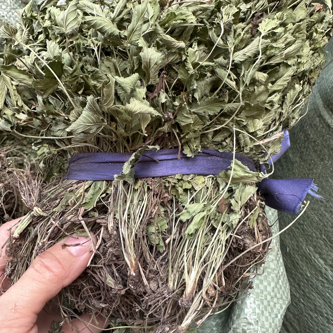 五叶草 千打锤 天青地红 干品新货 全草 50克为一件包邮