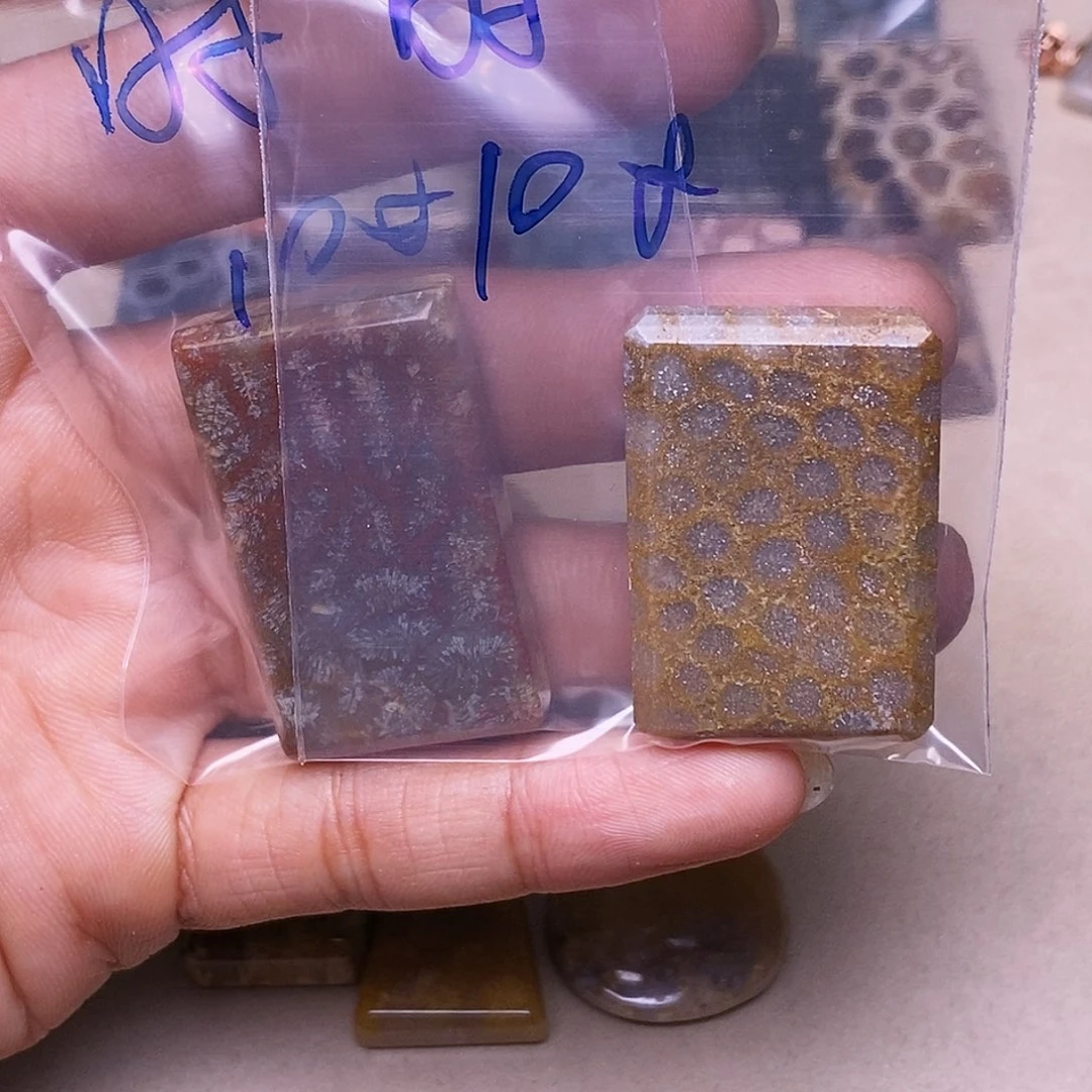 时***嗣硅化玉合金珊瑚玉