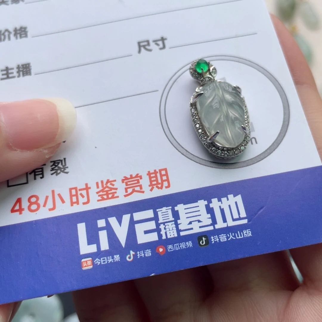 翡翠未镶嵌颈饰银镶叶子
