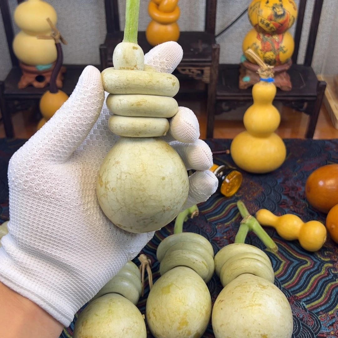 元***哥哈哈哈哈哈哈哈哈哈哈