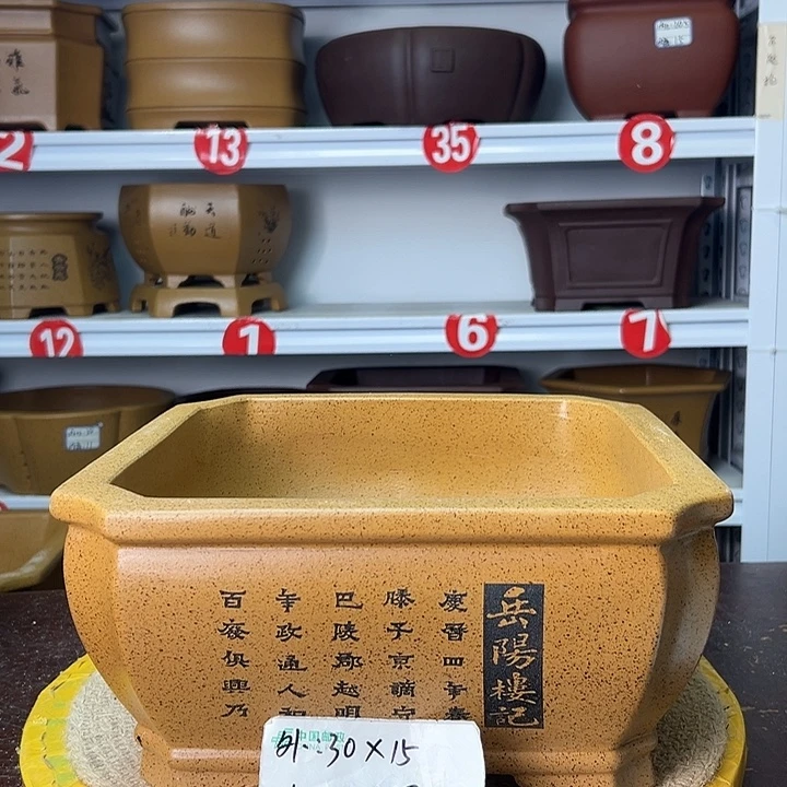 花盆紫砂你在一起