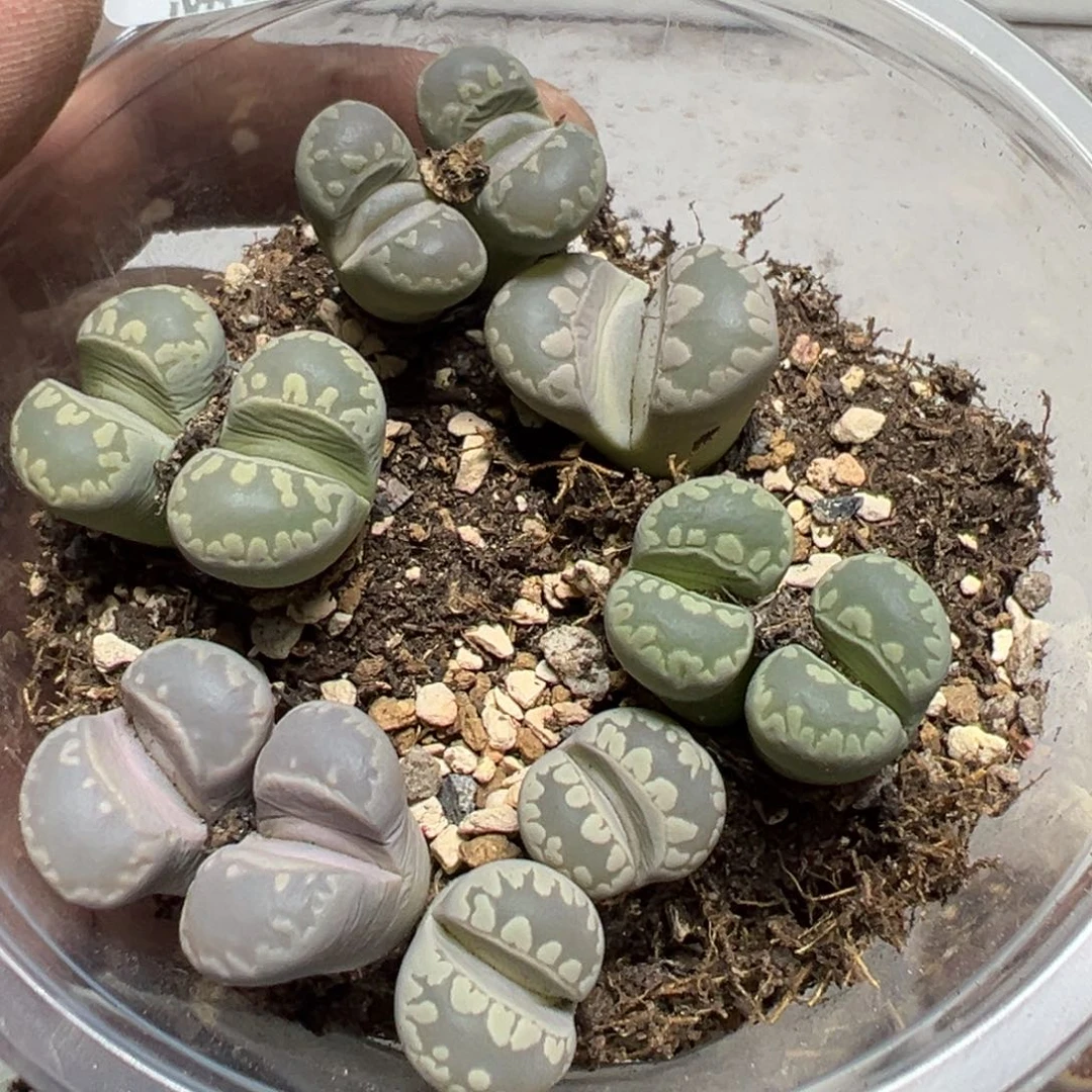 【闪购商品】 314。