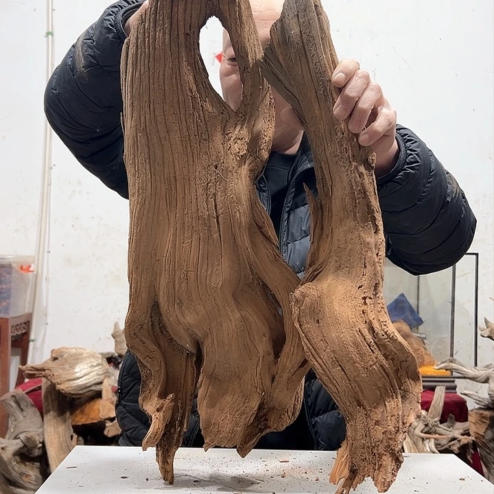 柏木不**问我们的生活也是如此的