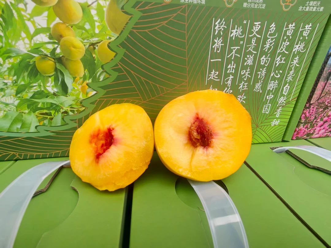 高山锦绣黄桃黄桃产地直销现摘现发礼盒版超大刘安权家庭农场黄桃