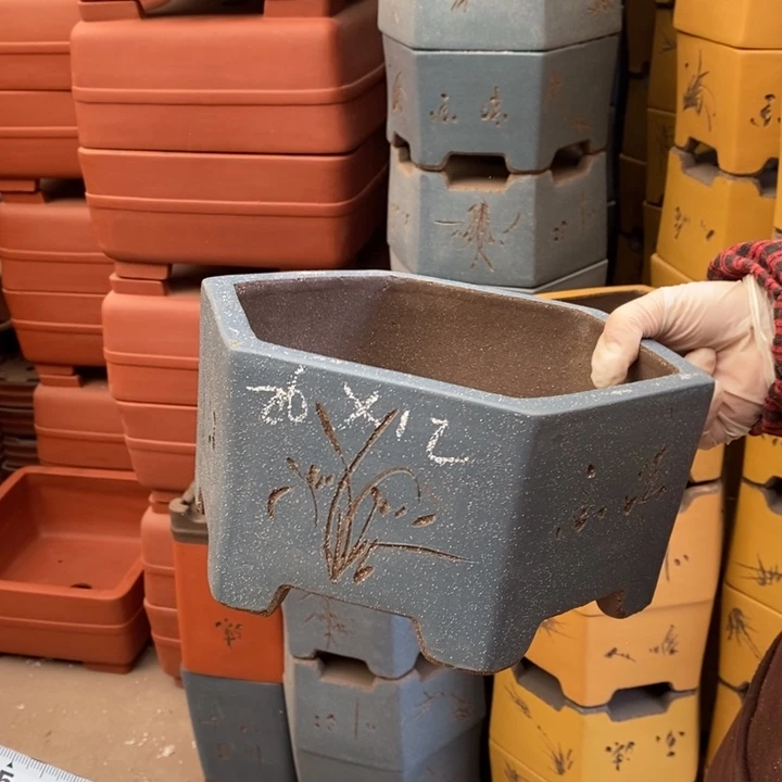 紫砂花盆只顾看电视