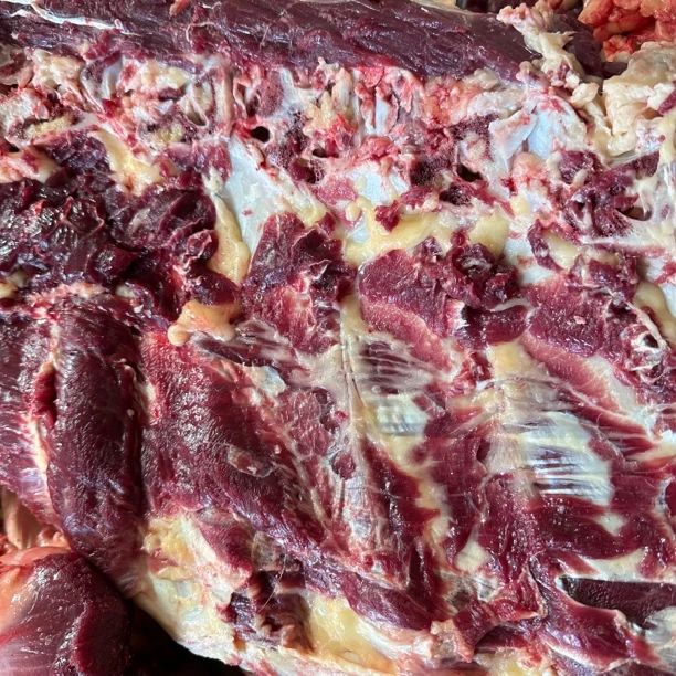 【小唐牧场 草原牧区散养牛】牛骨头