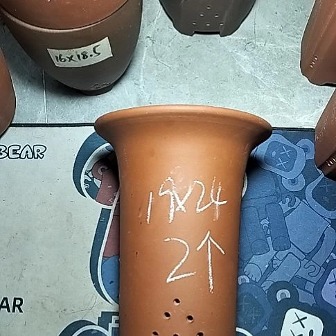 大红兰花两个花盆