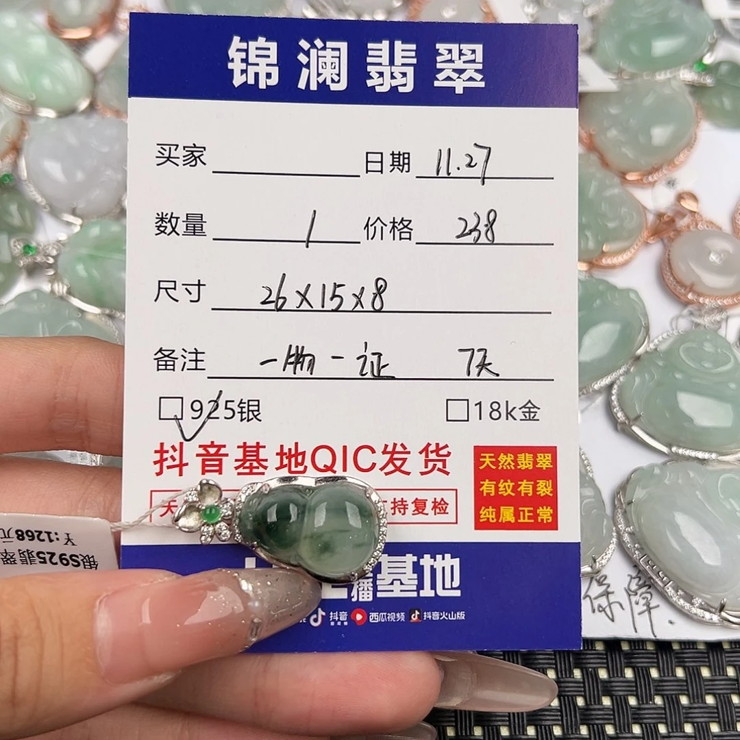 翡翠银S925镶嵌颈饰