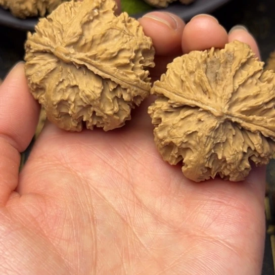 文玩核桃把件用****0秦岭核桃10