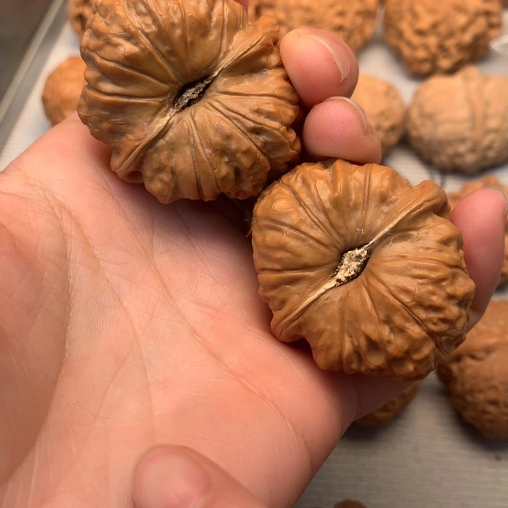 文玩核桃把件南瓜墩45