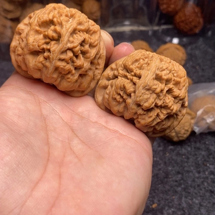 文玩核桃吊坠50大粗筋