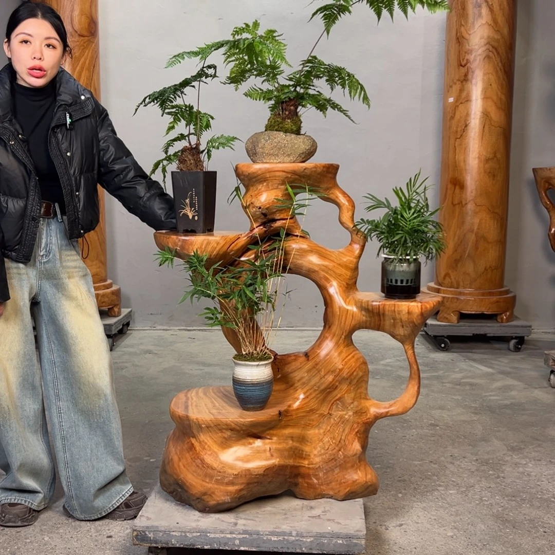 香樟木整体无拼接