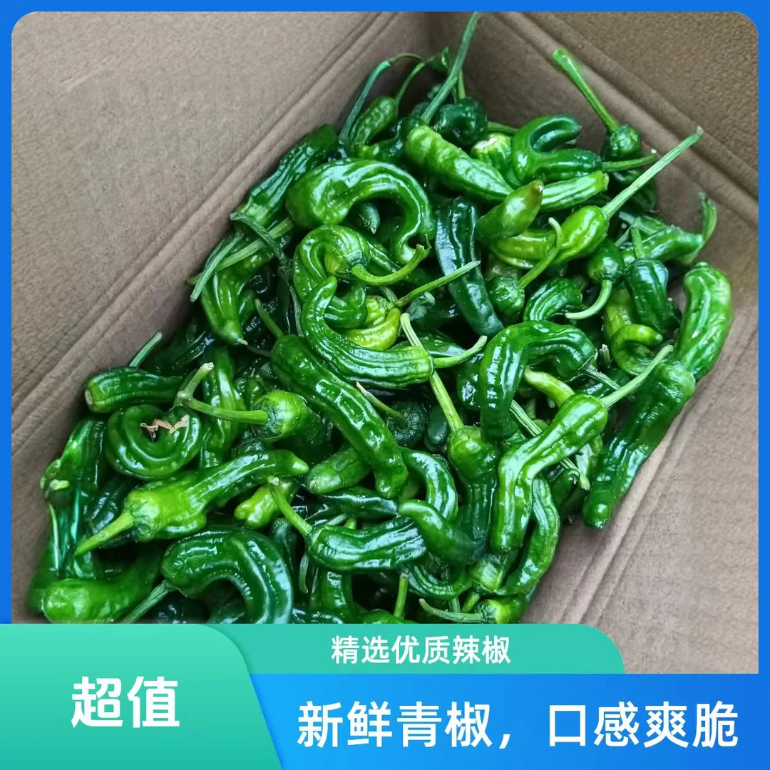新鲜采摘特辣小皱皮薄皮青椒美味饱满农家自种蔬菜