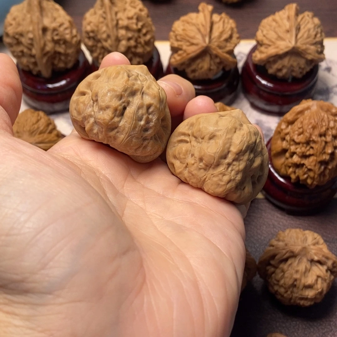 文玩核桃把件古蝉尺寸37