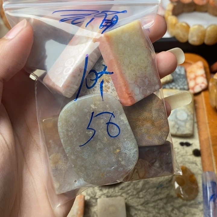 云***）颈饰未镶嵌硅化珊瑚（珊瑚玉）