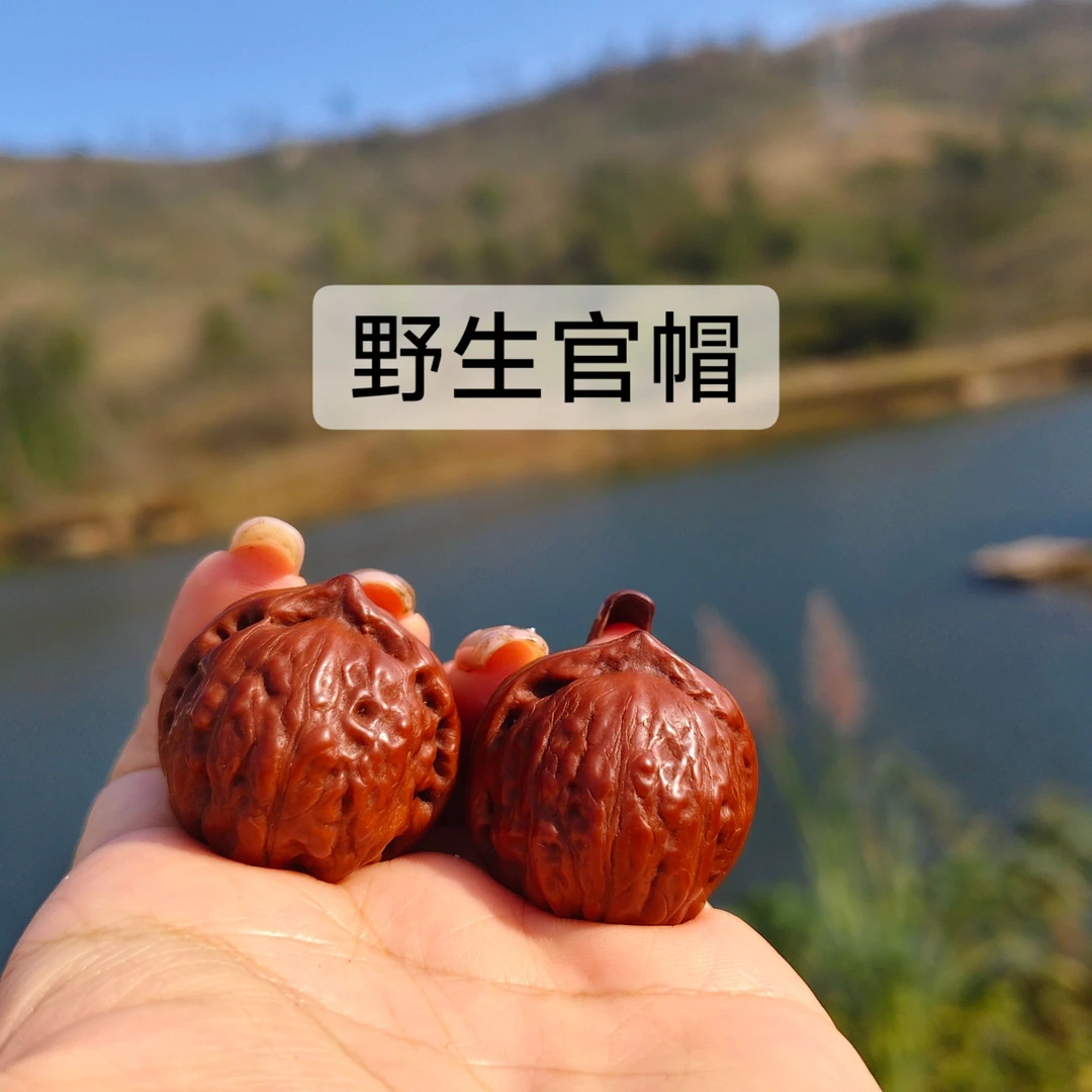 直播间定制链接 一物一图 文玩核桃小手捻 天然野生小秋核