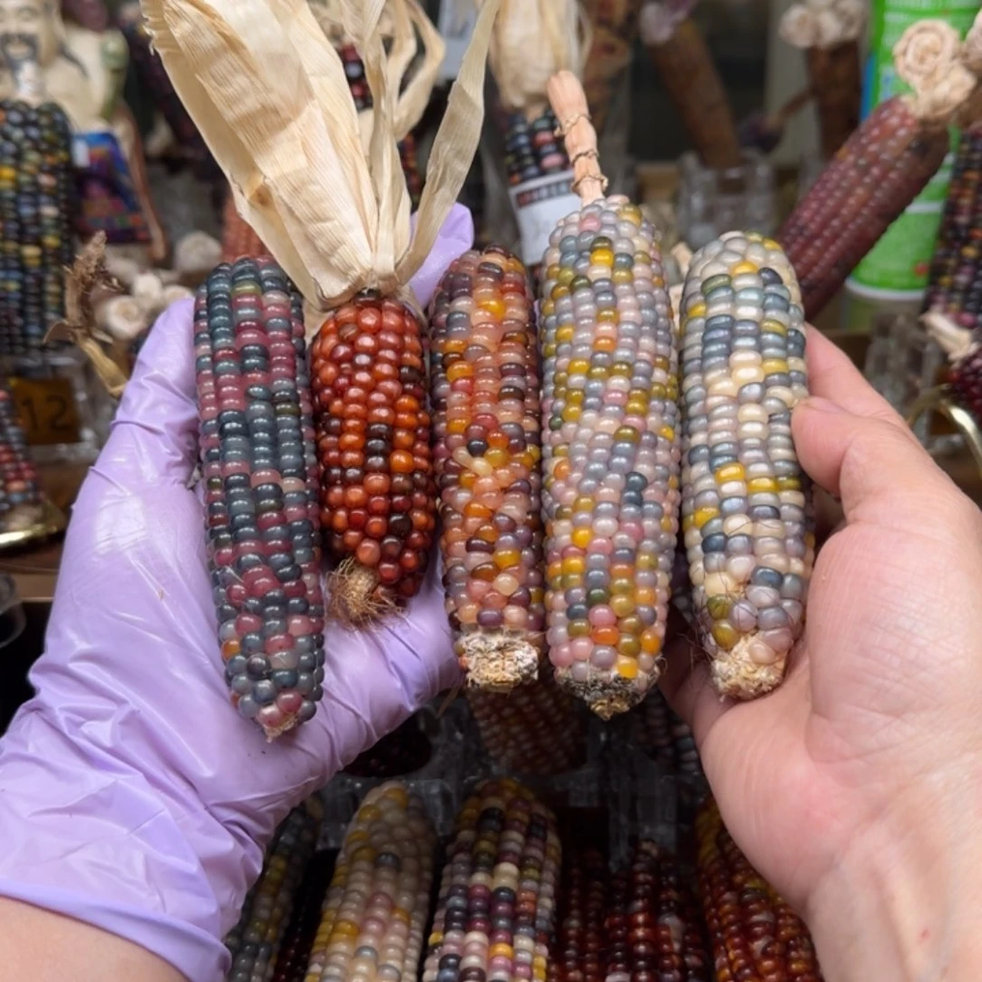 柏香籽/百香籽吊坠盐***王