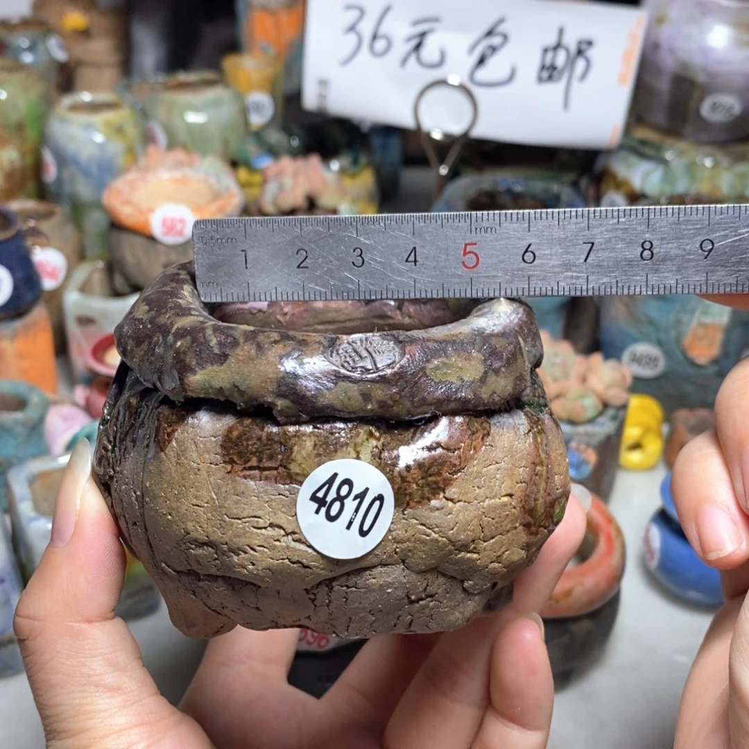 拍3送一个小礼物