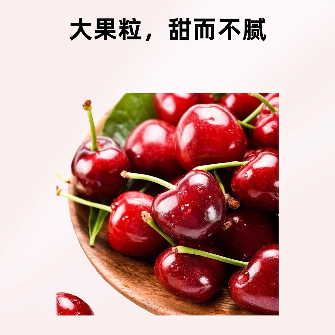 智利 ZANA 拉宾斯车厘子 双J 净重5斤