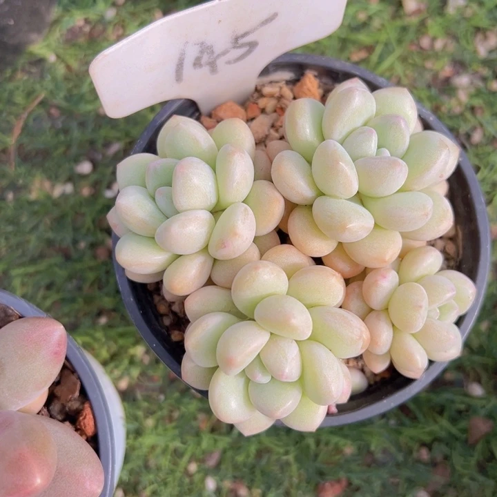 健健康康平平安安