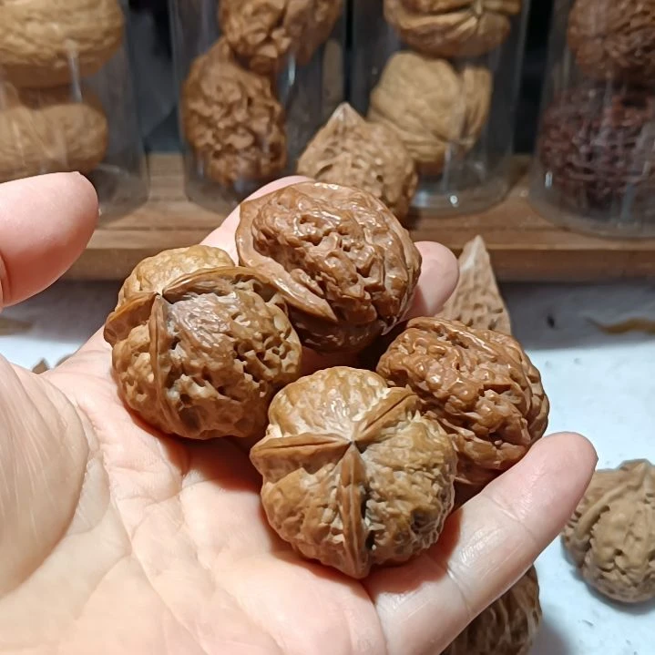 文玩核桃把件6666666666666666666