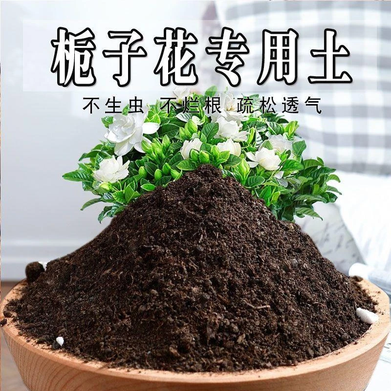 栀子花专用营养土 农户自配营养土