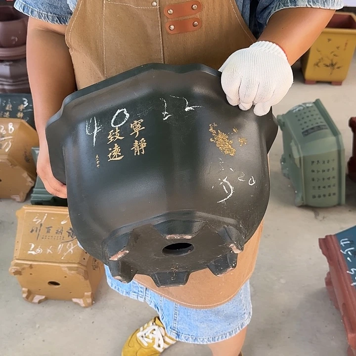 好喜欢看肖春阳演
