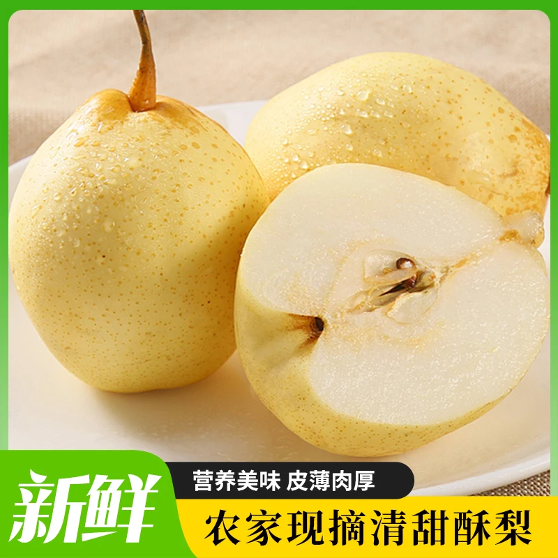 正宗山农酥梨新鲜当季水果脆甜多汁中秋礼盒装