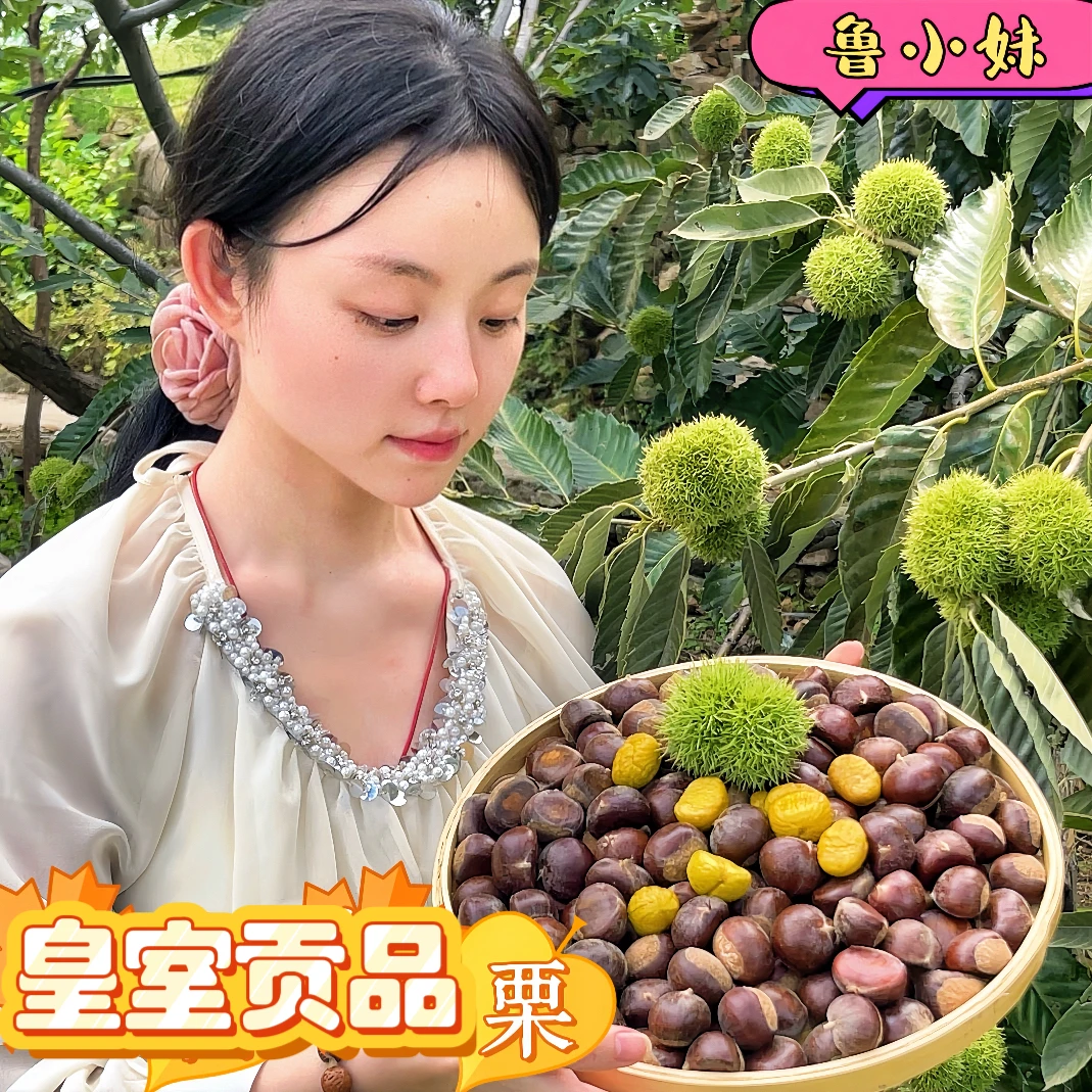 【皇室贡品】25年迁西板栗燕山新鲜生油栗子京东板栗高山老树混粒