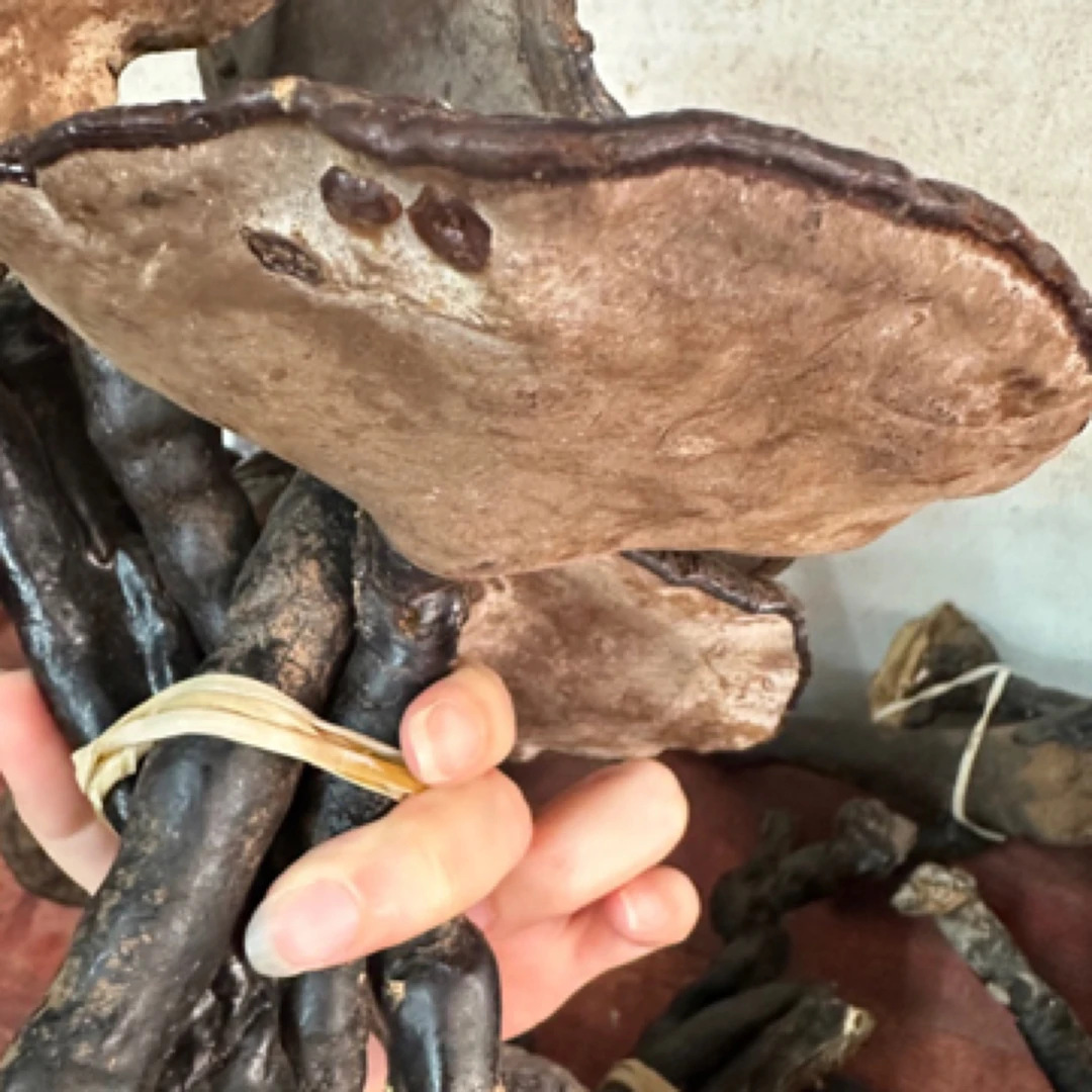 野生灵芝 整枝紫灵芝 250g可泡酒煲汤煲水