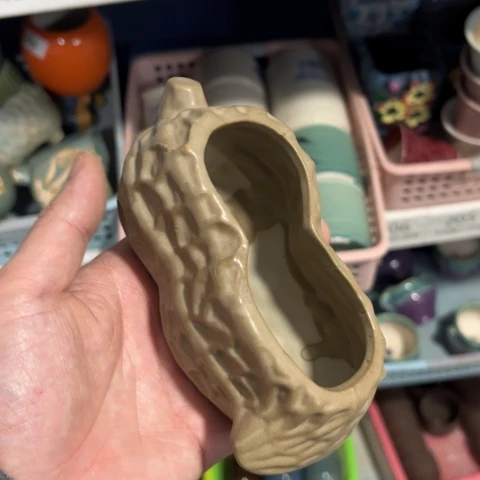 ［所有订单凑满15明天发］10×3×5