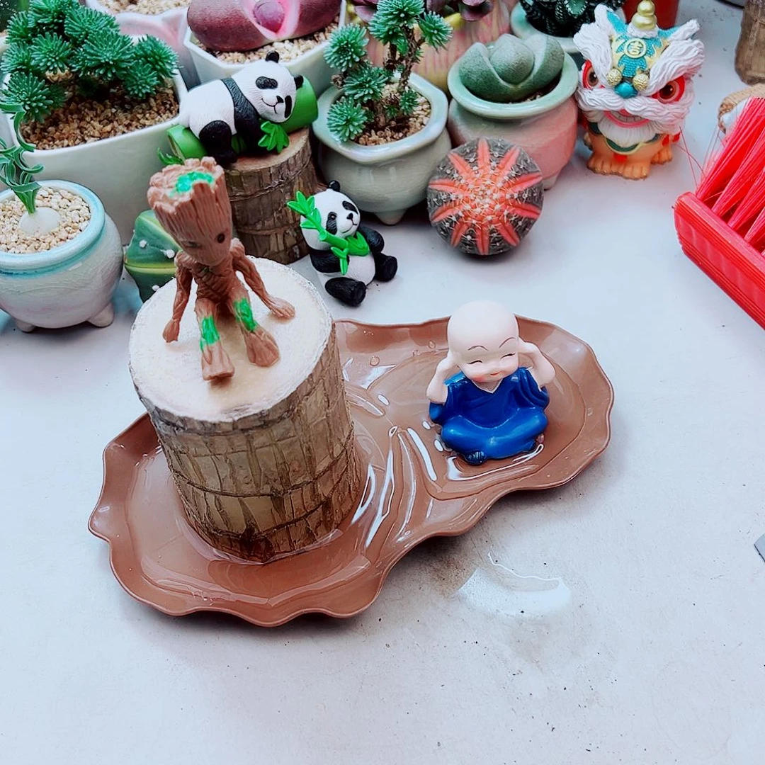 水培巴西木多肉植物