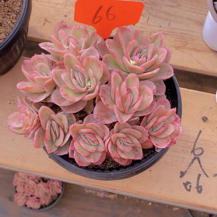 这样做不知道你在