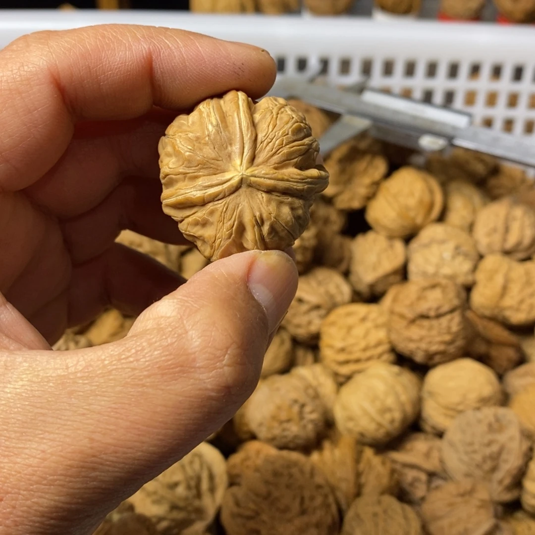 黎***云大叶紫檀（黑酸枝木类）