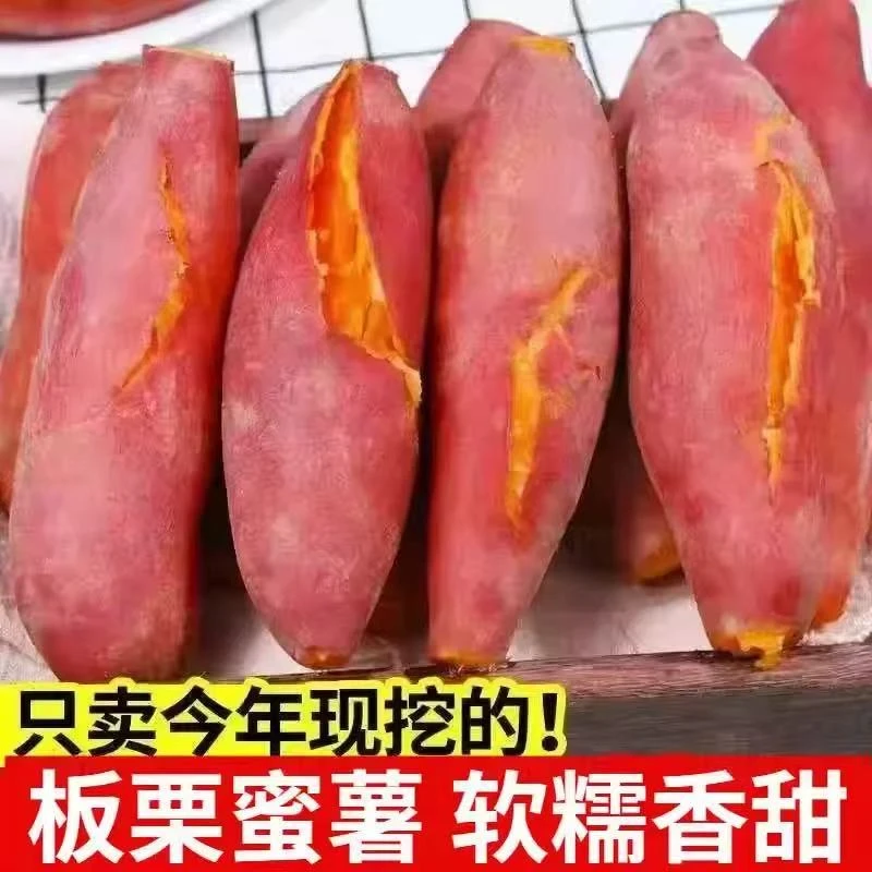 新鲜产地直发现挖现发正宗黄心蜜薯沙地番糖心软糯香甜
