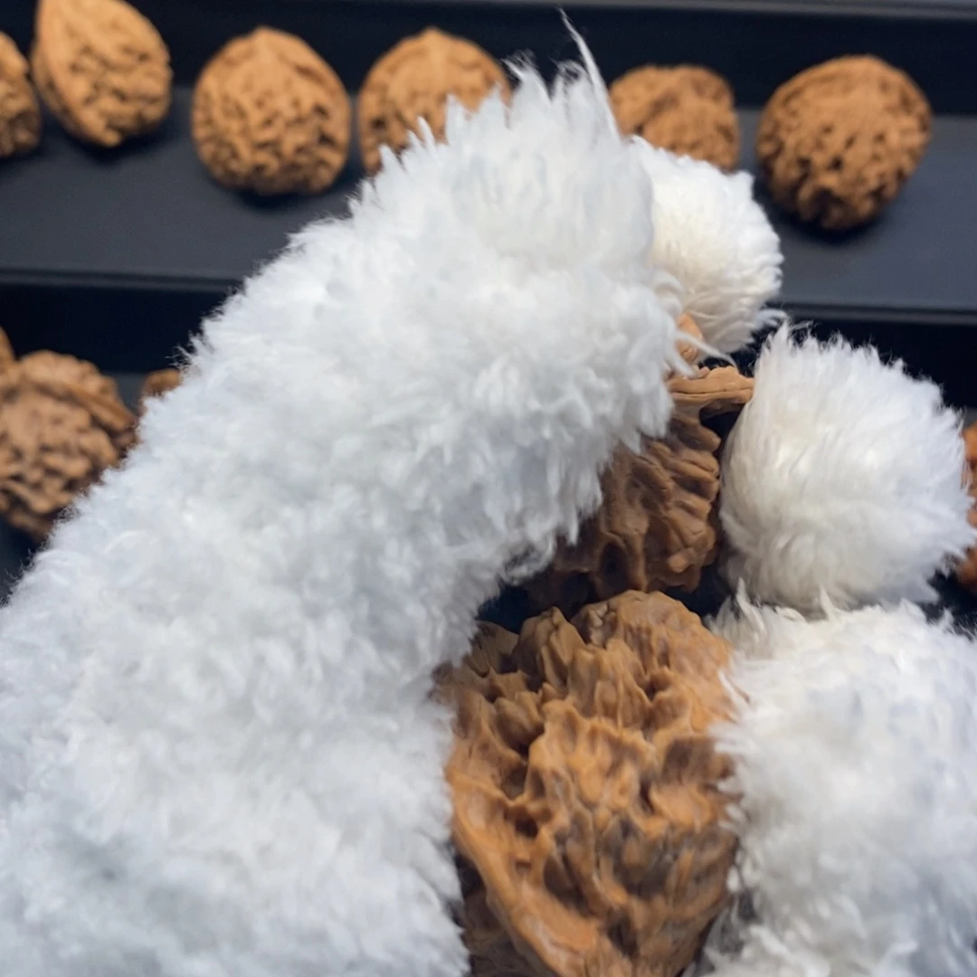 ?****?我想和他们出去玩玩你