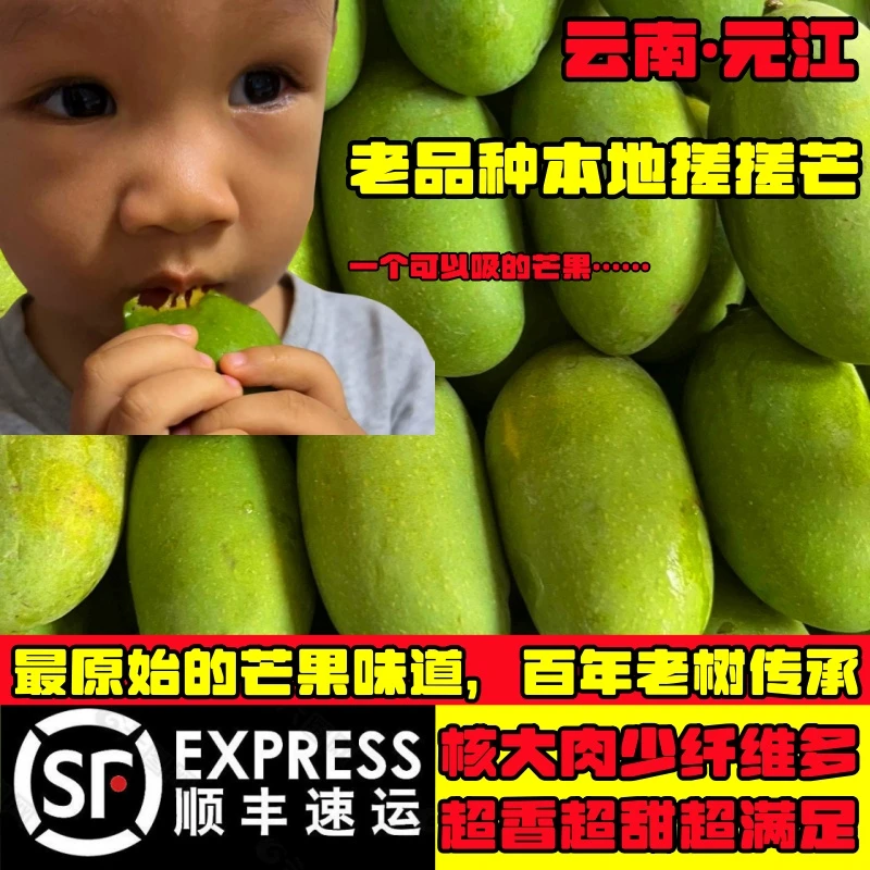 【顺丰包邮】云南农产品元江新鲜水果老品种本地芒果大老树搓搓芒果